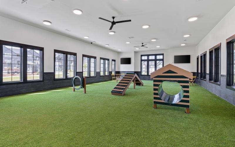 an indoor dog park